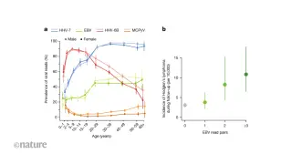 Biobank DNA study links latent EBV to Hodgkin’s lymphoma risk