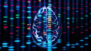 A Longevity Variant Protects Brain DNA, Reducing Alzheimer's Risk, Study Finds