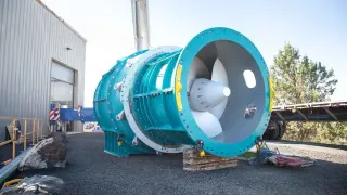 Blade shape alone raises sturgeon survival in hydropower turbines