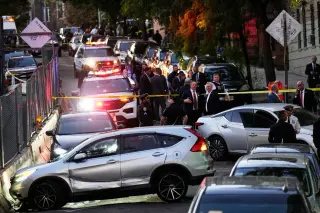 ICE Agent Shoots 28-Year-Old in Bronx Car, Sparking Protests and Political Clash