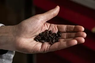 Coffee’s health boost may come from activating an aging-linked receptor
