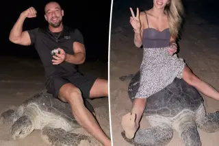 Oman Launches Legal Action Against Ukrainian Couple for Riding Nesting Sea Turtle