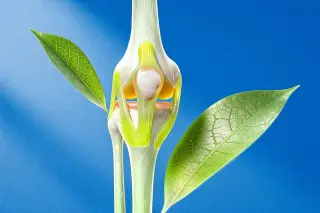 Beyond Replacement: New Enzyme Blockers and 3D-Printed Implants Offer Hope for Knee Arthritis