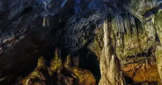 Neanderthals built massive stone rings in a dark French cave 176,000 years ago