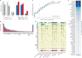 Chemo footprints reshape the genome of relapsed childhood cancers