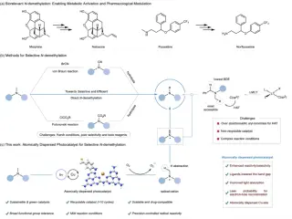 Single-Atom Copper Catalyst Enables Reusable, Light-Driven N-Demethylation