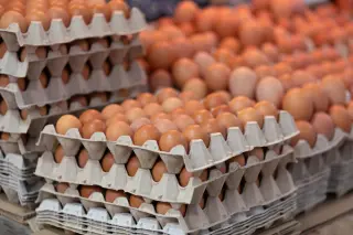 FDA raises egg recall to highest risk amid salmonella fears