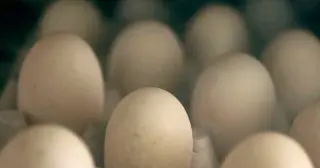 Ramona Salmonella Outbreak Expands, Traced to Local Raw-Egg Supply