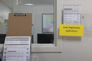 Texas Hits Record 19M Voter Registrations Amid System Glitches