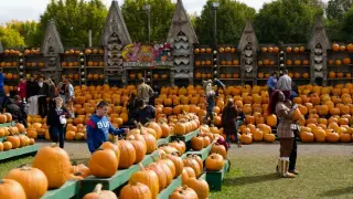 Buffalo-area pumpkin farm generates $2 million in seven-week season