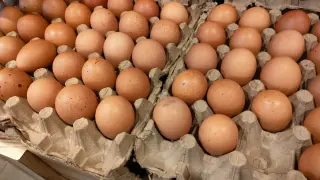 San Diego County probes Ramona deli after Salmonella tied to raw eggs