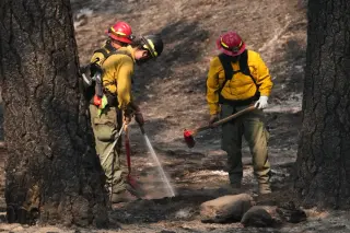Glutathione hype for wildfire smoke under scientific scrutiny