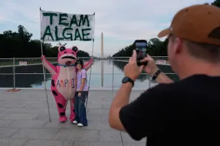 Trump’s algae-green Reflecting Pool sparks internet meme frenzy