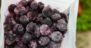 Chilean Supplier’s Third Berry Recall Hits 56 States Over E. coli