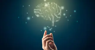 Global Flynn Effect Reversal: IQ Declines Across Developed Nations