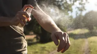 Consumer Reports Picks Lemon Eucalyptus as Top Non-DEET Bug Repellent
