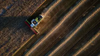 Global grain outlook darkens as war, logistics, and El Niño collide
