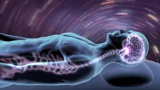 UK Researchers Restore Sleep in Alzheimer's Mice by Targeting Immune Cells, Not Plaques