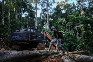 Suriname's Saamaka tribe uses satellite tech to combat illegal logging and mining
