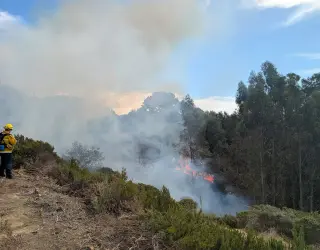 Berkeley Hills Fire Contained After Threatening One Home