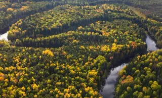 Ancient North Sea Forest Found, Rewriting Doggerland’s Ice Age Timeline