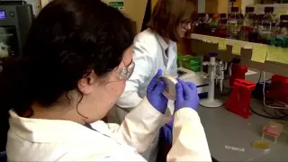 UNC Asheville undergrad researchers uncover drug-resistant staph discovery, earning journal recognition