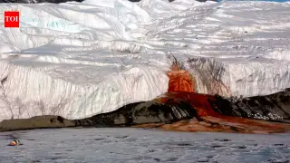 Antarctic red under-ice brine preserves DNA of an ancient sea