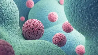 HPV Vaccine Shows Potential to Cut Head and Neck Cancers