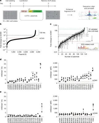 Engineered super-enhancers enable targeted viral immunotherapy in glioblastoma