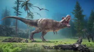 Tiny But Telling: New Insights into why T. rex arms were so small