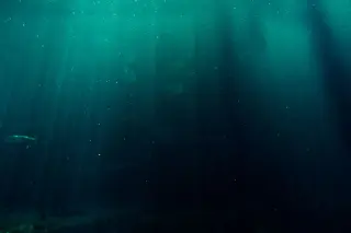 Seven Decades of Dives Yet Leaves Most Deep Seafloor Unseen