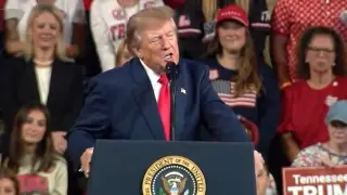 Trump pledges $5,000 annual payments to adults if GOP wins midterms
