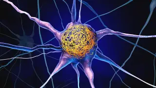 Midlife Vitamin D Linked to Lower Tau Buildup in Brain