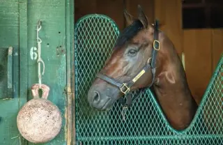 Mott: Baeza Must Hit the Ground Running in Jockey Club Gold Cup