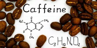 Caffeine May Quiet Brain Inflammation to Ease Mood Symptoms in Rodent Studies