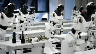 Rivian bets on a separate Mind Robotics to pioneer humanoids