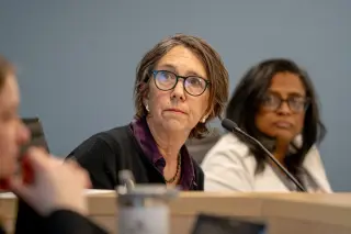 Evanston Council Selects Nieuwsma as Acting Mayor After Kelly's Controversial Pro Tem Week