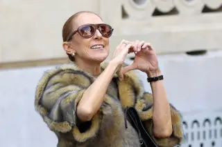 Céline Dion Joins Paris Crowd, Climbs Onto Car Hood to Sing Along