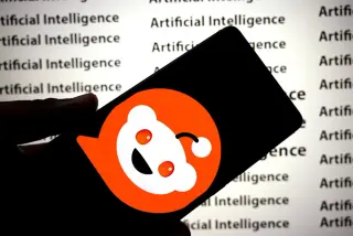 Procedural Win for Reddit in AI Scraping DMCA Case as RDDT Drops on Earnings