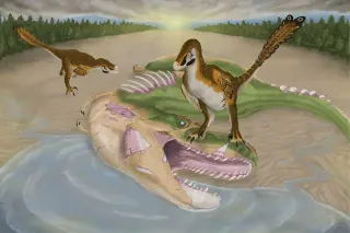 Fossil Bite Marks Reveal Tiny Raptor Scavenged on Giant Tyrannosaur Relative