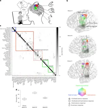 One implant enables parallel decoding of speech and gestures for natural multimodal communication in paralysis