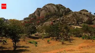 India Uncovers Earth’s Oldest Biosignature in a 3.497-Billion-Year Rock