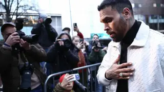 Jury Hits Chris Brown With $13 Million Verdict Over Dog Attack