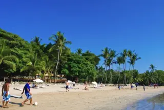 Embassy Warns of Local Chikungunya Outbreak at Playa Langosta, Costa Rica
