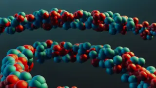 Three Ancient Interbreeding Waves Reframe Neanderthals as Part of Us