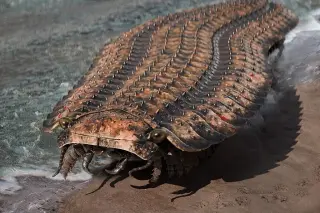 Giant Prehistoric Bugs That Dwarfed Modern Life