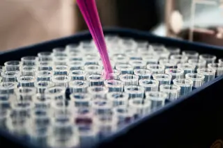 Portugal to trial breakthrough cancer drug amivantamab in head and neck cancer