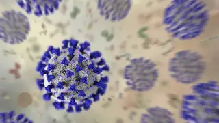 Severe COVID may awaken dormant viruses, fueling long-COVID questions