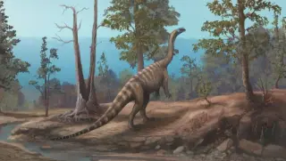 New Triassic Sauropodomorph Unearthed at Zimbabwe’s Kariba Lake Shore