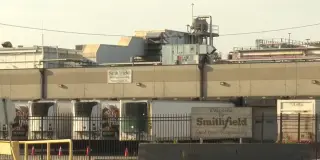Walkout at Smithfield Plant After Coworker’s Death Sparks Push to Stop Production
